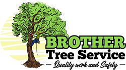 Brother Tree Service